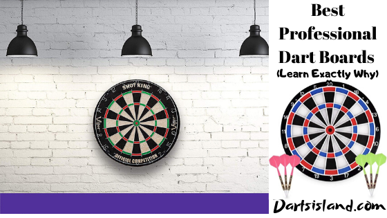 Best Professional Dart Boards-(Learn Exactly Why)
